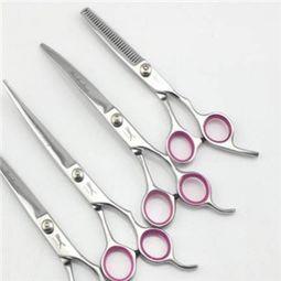 陽東縣東城鎮振興包裝制品廠其他加盟費 陽東縣東城鎮振興包裝制品廠加盟費多少錢 全球加盟網jiameng.com